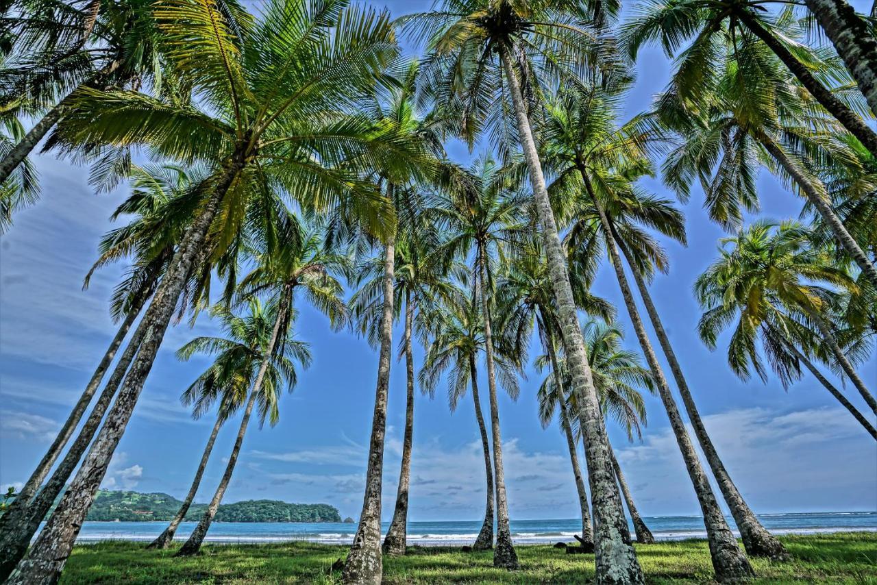 Nammbu Beach Front Bungalows Sámara Eksteriør bilde